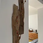 アパート Tra Prati E Monti - Dolomiti Bellunesi ヴァッレ・ディ・カドーレ