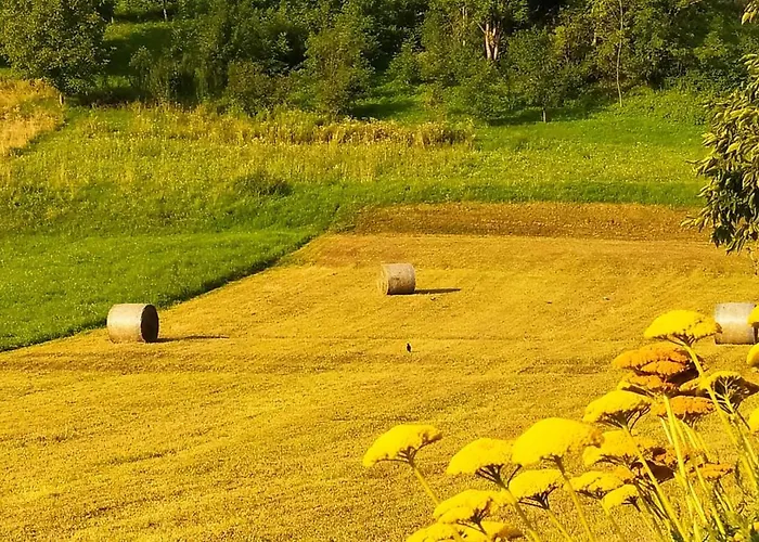 Tra Prati E Monti - Dolomiti Bellunesi * Valle di Cadore