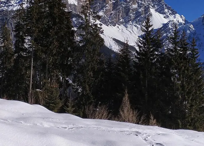 Tra Prati E Monti - Dolomiti Bellunesi Apartment *