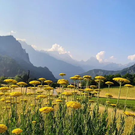 Tra Prati E Monti - Dolomiti Bellunesi 아파트